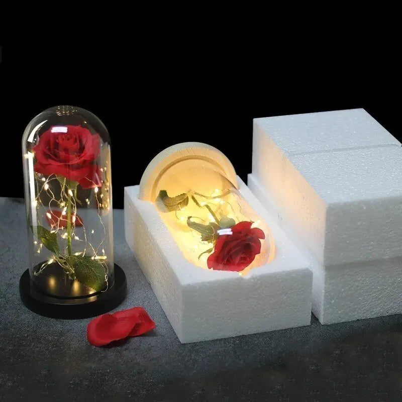 Eternal LED Rose Dome