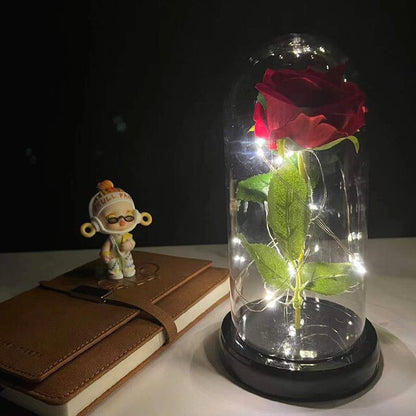 Eternal LED Rose Dome