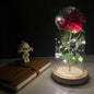 Eternal LED Rose Dome