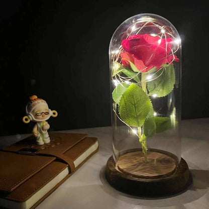 Eternal LED Rose Dome